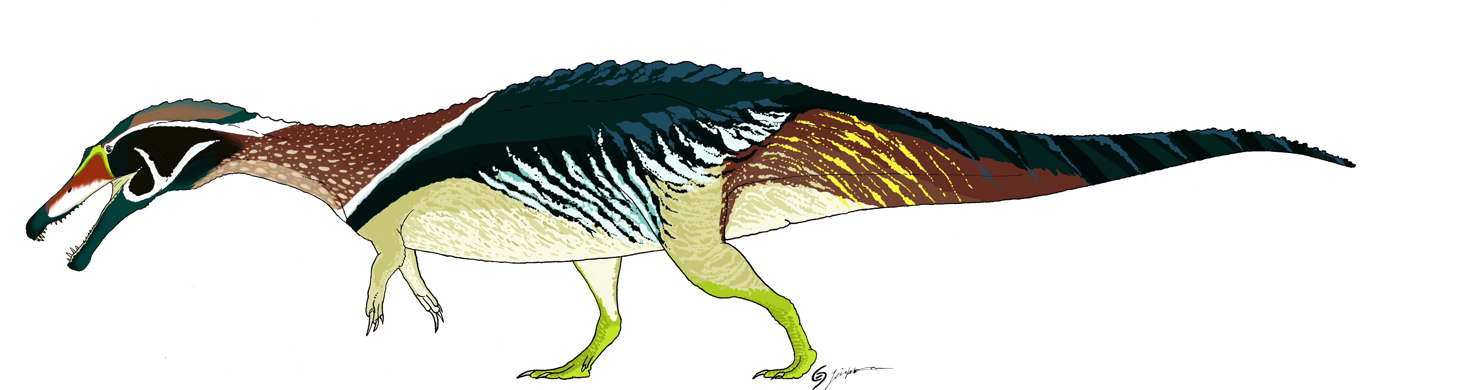 Sigimassaurus